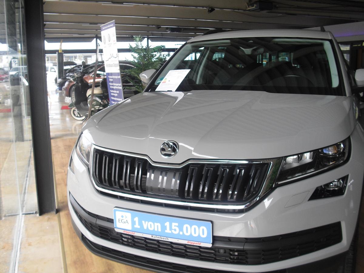 Skoda Kodiaq 2.0 TDI  4x4 AHK/Standheizung/Rückfahrkamera 